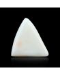 Japani White Coral 10.87 Carat 