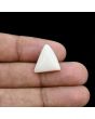 Japani White Coral 10.87 Carat 