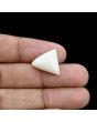 Japani White Coral 10.87 Carat 