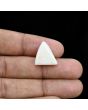 Japani White Coral 10.87 Carat 