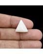 Japani White Coral 12.37 Carat 