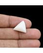 Japani White Coral 12.37 Carat 
