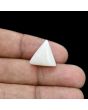 Japani White Coral 12.37 Carat 