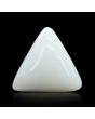 Japani White Coral 13.6 Carat 