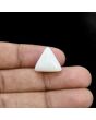 Japani White Coral 13.6 Carat 