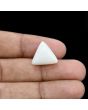 Japani White Coral 13.6 Carat 