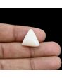 Japani White Coral 10.67 Carat 
