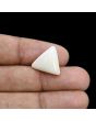 Japani White Coral 10.67 Carat 