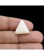 Japani White Coral 10.67 Carat 