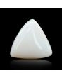 Japani White Coral 11.29 Carat 