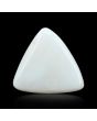 Japani White Coral 11.29 Carat 