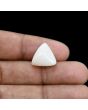 Japani White Coral 11.29 Carat 