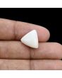 Japani White Coral 11.29 Carat 