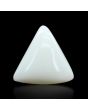 Japani White Coral 9.13 Carat 