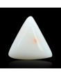 Japani White Coral 9.13 Carat 