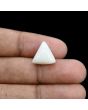 Japani White Coral 9.13 Carat 