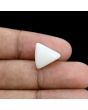 Japani White Coral 9.13 Carat 