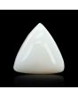 Japani White Coral 9.19 Carat 