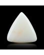 Japani White Coral 9.19 Carat 