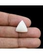 Japani White Coral 9.19 Carat 