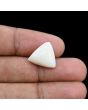 Japani White Coral 9.19 Carat 