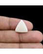 Japani White Coral 9.19 Carat 