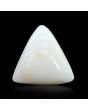 Japani White Coral 9.82 Carat 