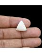 Japani White Coral 9.82 Carat 