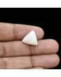 Japani White Coral 9.82 Carat 
