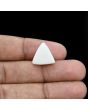 Japani White Coral 9.82 Carat 