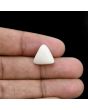 Japani White Coral 9.41 Carat 