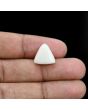Japani White Coral 9.41 Carat 
