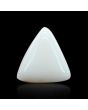 Japani White Coral 8.82 Carat 