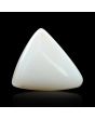 Japani White Coral 8.82 Carat 