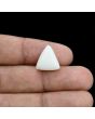 Japani White Coral 8.82 Carat 