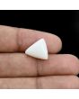Japani White Coral 8.82 Carat 
