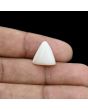 Japani White Coral 8.82 Carat 
