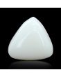 Japani White Coral 11.21 Carat 
