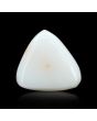 Japani White Coral 11.21 Carat 