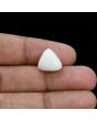 Japani White Coral 11.21 Carat 