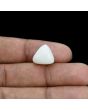 Japani White Coral 11.21 Carat 