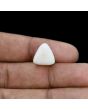 Japani White Coral 11.21 Carat 