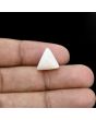Japani White Coral 8.05 Carat 