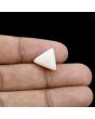 Japani White Coral 8.05 Carat 