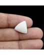 Japani White Coral 7.98 Carat 