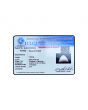Japani White Coral 7.98 Carat 