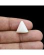 Japani White Coral 8.07 Carat 