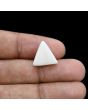 Japani White Coral 8.07 Carat 
