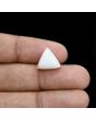 Japani White Coral 7.11 Carat 