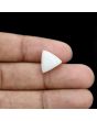 Japani White Coral 7.11 Carat 